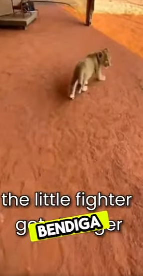 La madre lo atacaba y después sucedio algo increíble (Parte 2)