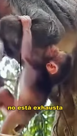 A2401002 Del miedo a la seguridad en un momento (Parte 2)