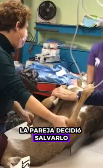 A2401003 La bondad puede salvar una vida (Parte 2)