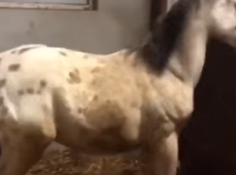 W2301005 Love turns pain into peace (Part 2)