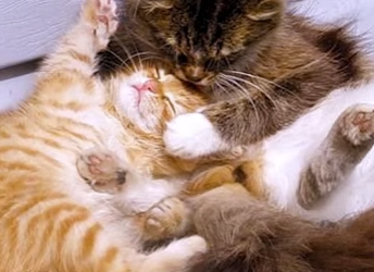 W2301002 Because stopping to help matters (Part 1)