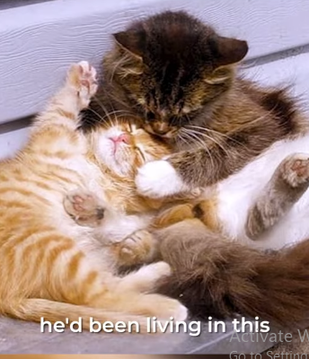 W2301002 Because stopping to help matters (Part 1)