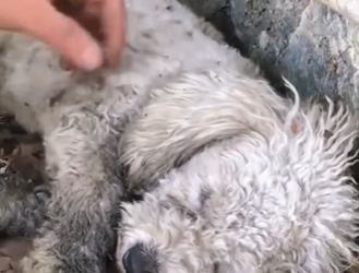 M2501003 Cuando llega la ayuda, llega la esperanza (Parte 2)