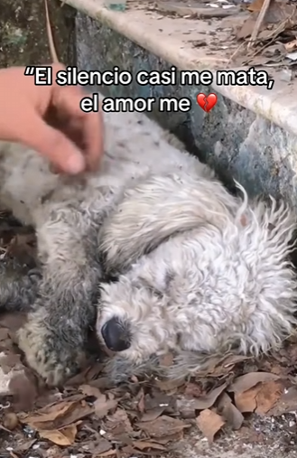 M2501003 Cuando llega la ayuda, llega la esperanza (Parte 2)