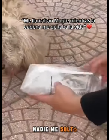 M2501004 Corazones amables salvan vidas (Parte 2)