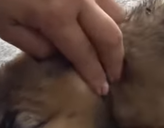 M2501005 Un futuro protegido por amor (Parte 2)