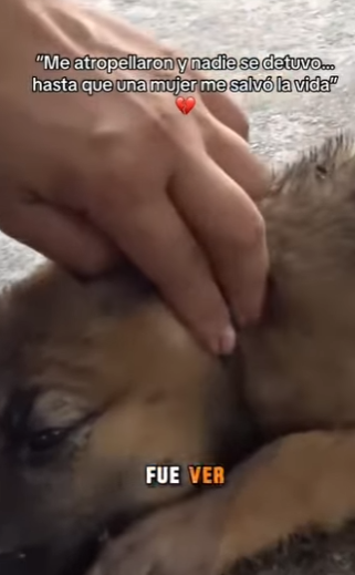 M2501005 Un futuro protegido por amor (Parte 2)