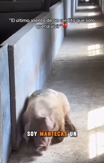 M2501007 La sanacion empieza con bondad (Parte 2)