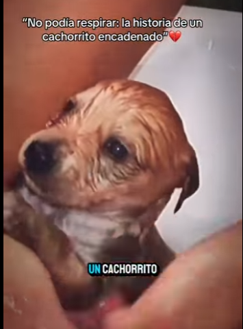 M2501001 Del dolor al cuidado y la paz (Parte 2)