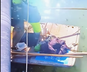 dog was abandoned in river, request help (Part 2)