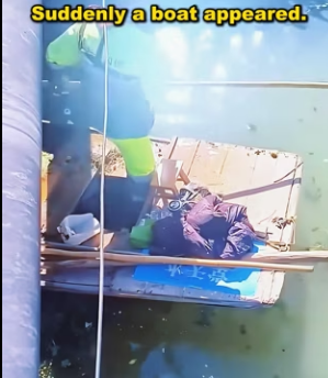 dog was abandoned in river, request help (Part 2)