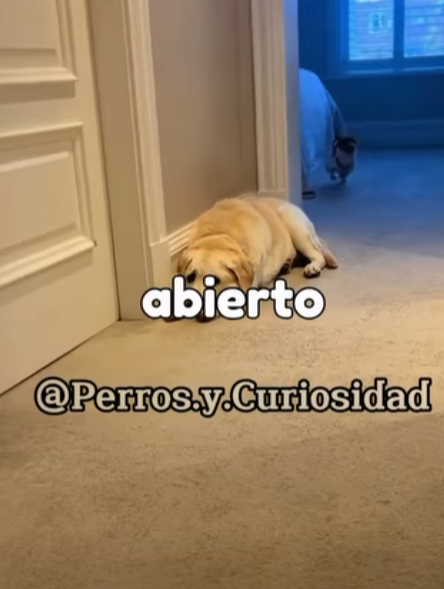 Y2501004 La esperanza nace con compasion (Parte 2)