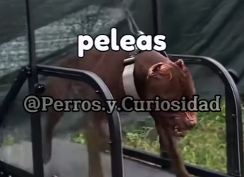 Y2501005 Del miedo a la seguridad en un momento (Parte 2)