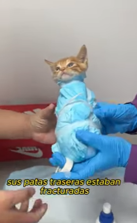 L2601003 Cuando llega la ayuda, llega la esperanza (Parte 2)