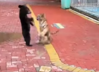 L2601004 Corazones amables salvan vidas (Parte 2)