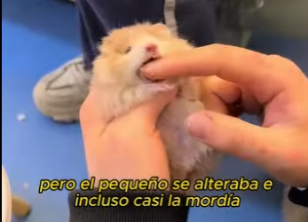 L2601002 Otra vida inocente salvada (Parte 2)