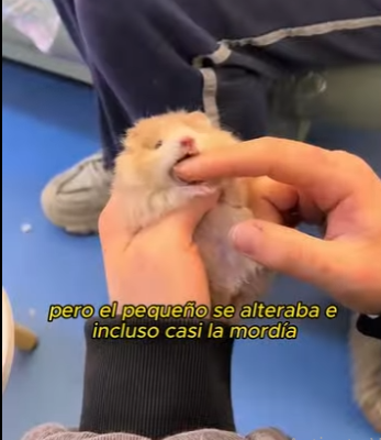 L2601002 Otra vida inocente salvada (Parte 2)