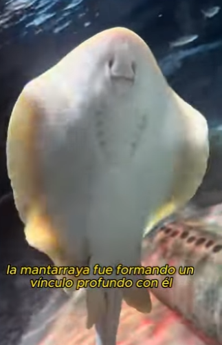 L2601001 Del dolor al cuidado y la paz (Parte 2)