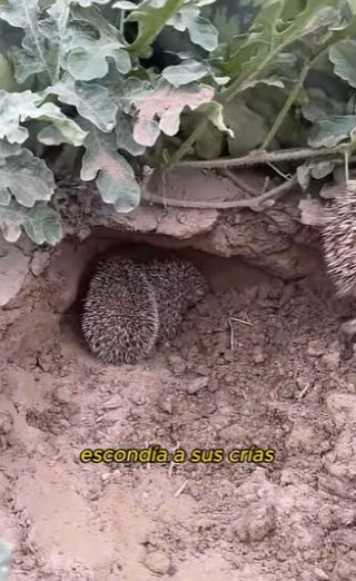 L2601009 El cuidado puede cambiar destinos (Parte 2)