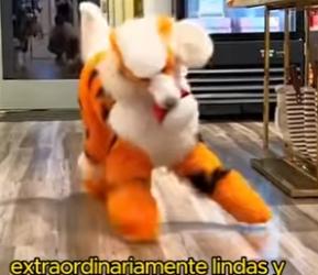 L2601008 Este rescate lo cambio todo (Parte 2)