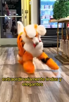 L2601008 Este rescate lo cambio todo (Parte 2)