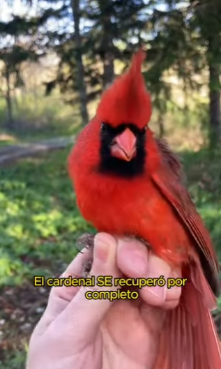 L2601007 La sanacion empieza con bondad (Parte 2)