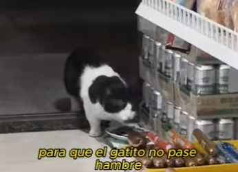 L2601010 El amor nunca se rinde (Parte 2)