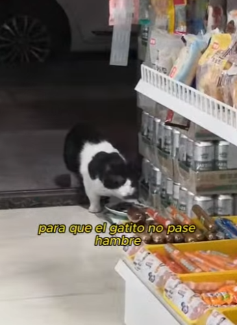 L2601010 El amor nunca se rinde (Parte 2)