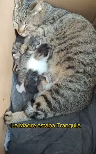 L2601006 De perdido a amado (Parte 2)