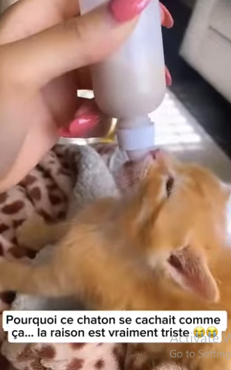 S2601003 Défendre ceux qui ne peuvent pas parler (Part 2)