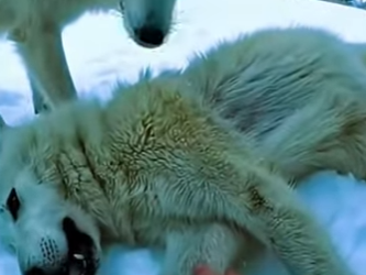 tomaba cafe tranquilo cuando derepenteee!!! (Parte 2)