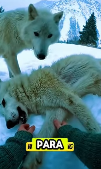 tomaba cafe tranquilo cuando derepenteee!!! (Parte 2)