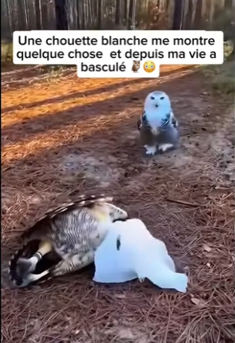 S2601005 Une nouvelle chance dans la nature (Part 2)