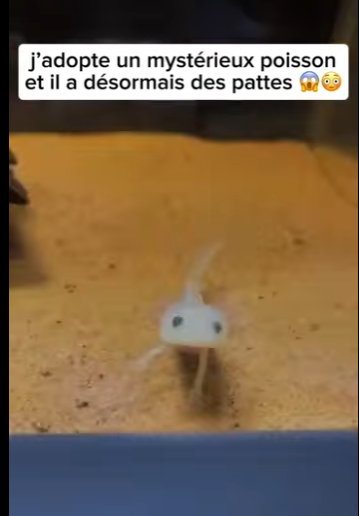 S2601004 Les vies sauvages comptent aussi (Part 2)