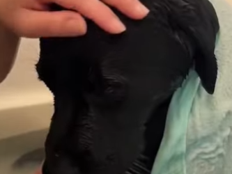 S2601002 Une nouvelle chance dans la nature (Part 2)