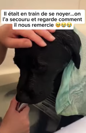 S2601002 Une nouvelle chance dans la nature (Part 2)