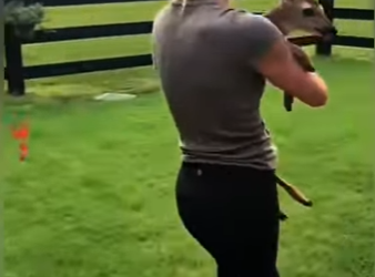 S2601010 Protéger la nature, une vie à la fois (Part 2)