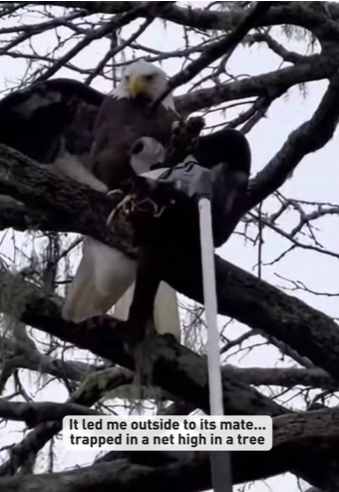 P2601005 Hope returns to the forest today (Part 2)