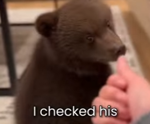 P2601004 Hope returns to the forest today (Part 2)