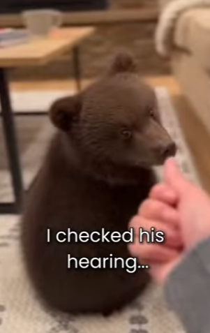 P2601004 Hope returns to the forest today (Part 2)