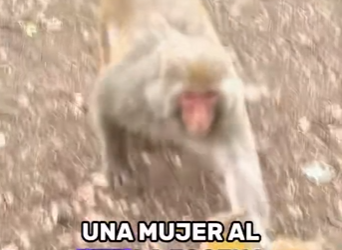 A2601004 La bondad puede salvar vidas (Parte 2)