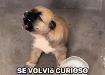 A2601007 La esperanza nace con compasion (Parte 2)