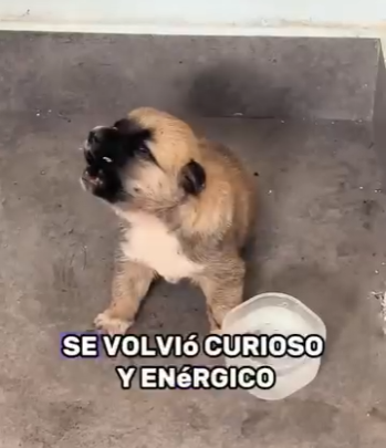 A2601007 La esperanza nace con compasion (Parte 2)