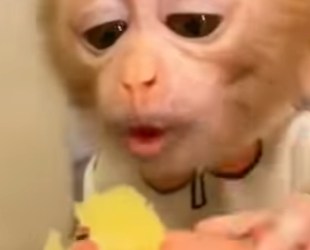 A2601003 Cada vida merece una segunda oportunidad (Parte 2)