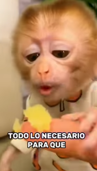 A2601003 Cada vida merece una segunda oportunidad (Parte 2)