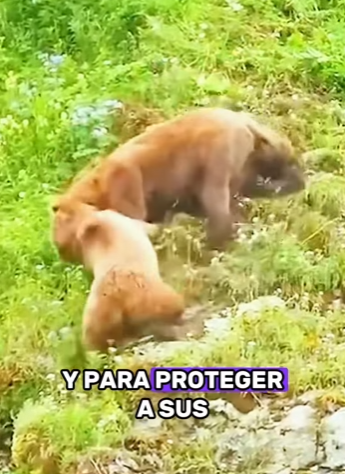 A2601001 De miedo a seguridad (Parte 2)