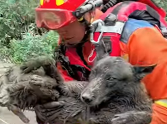 A2601005 El amor llego justo a tiempo (Parte 2)