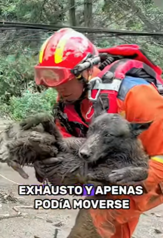 A2601005 El amor llego justo a tiempo (Parte 2)