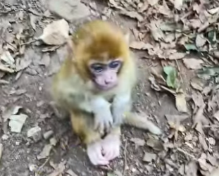 A2601004 La bondad puede salvar vidas (Parte 2)