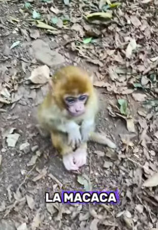 A2601004 La bondad puede salvar vidas (Parte 2)